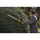 DeWALT DCM563PB dzīvžogu šķēres